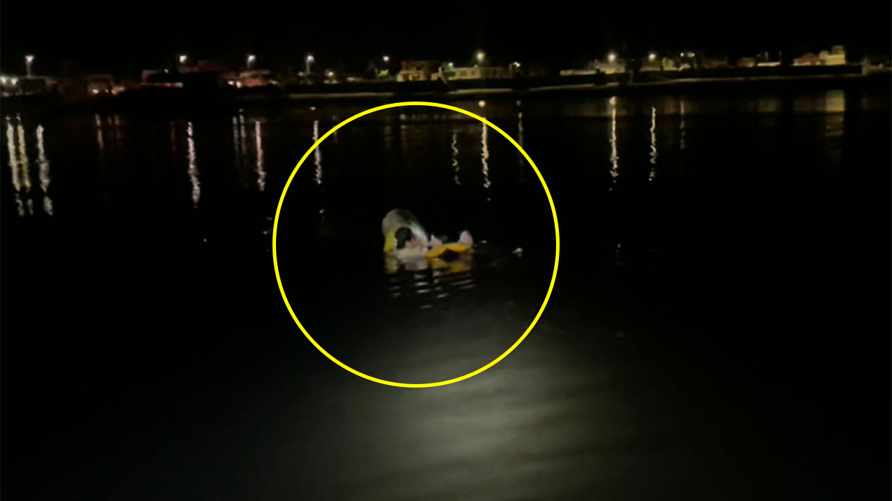 한밤중 갯벌서 어패류 잡다가 고립된 남녀 3명 구조