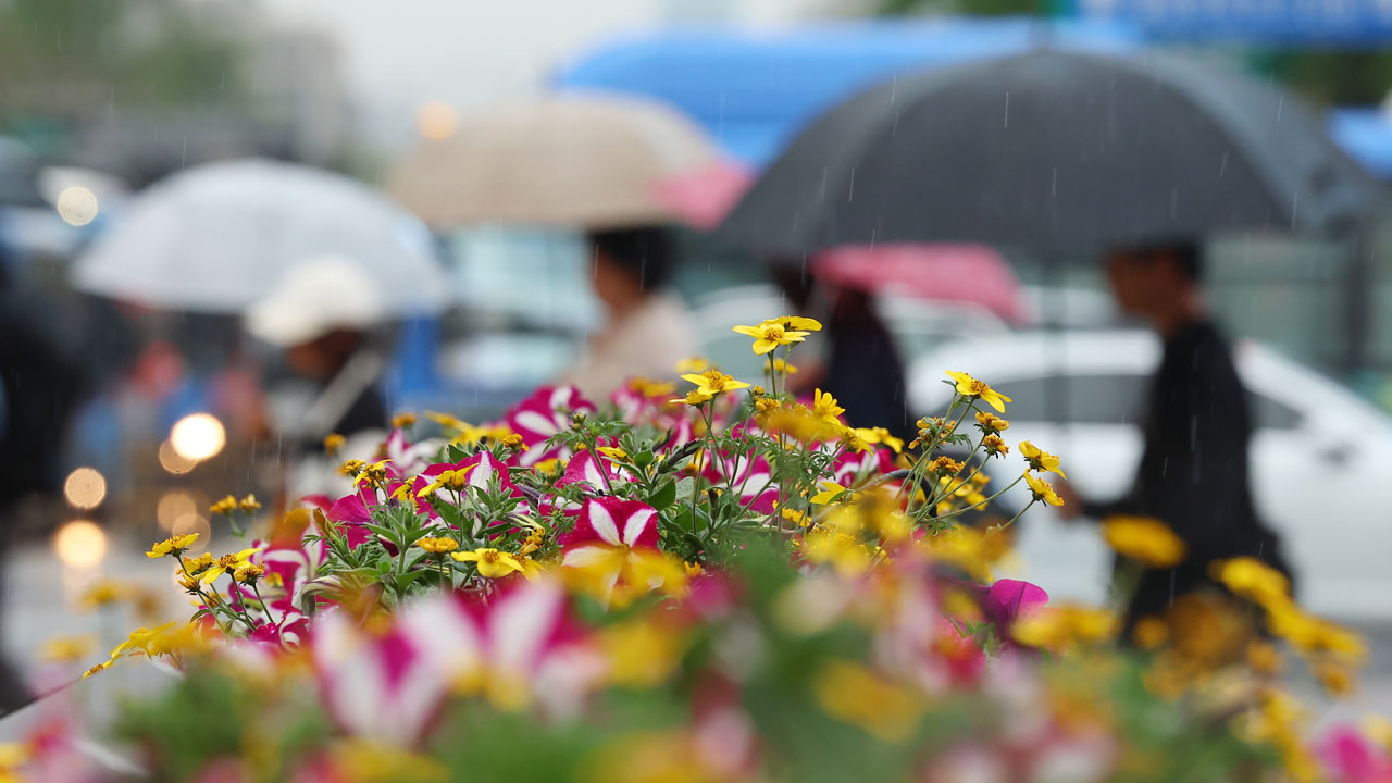 [날씨] 전국 흐리고 곳곳 비