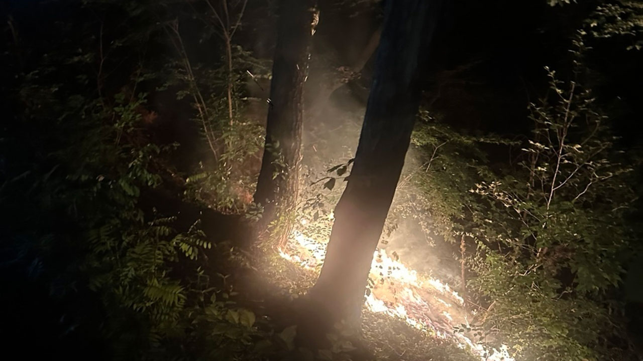 서울 용산구 한남동 야산에서 불‥인명 피해 없어