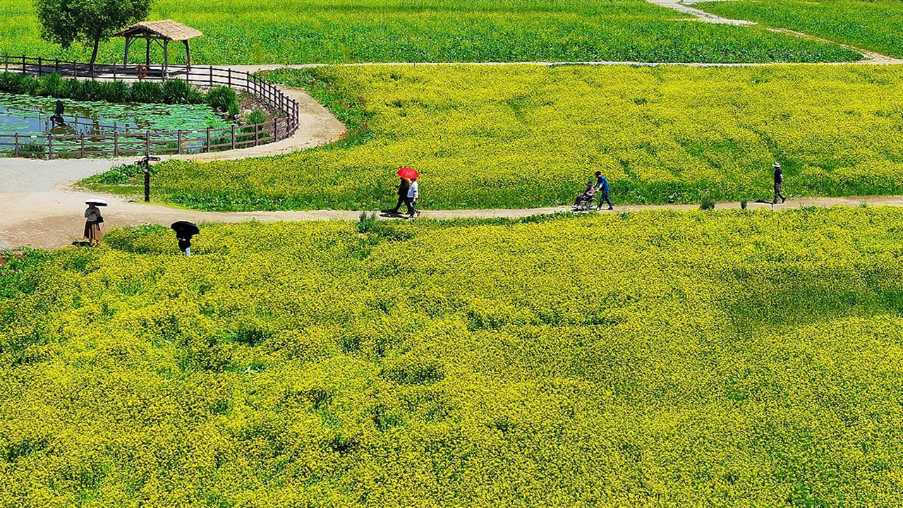 [날씨] 낮 최고 30도 이상 더위‥제주도 첫 장맛비