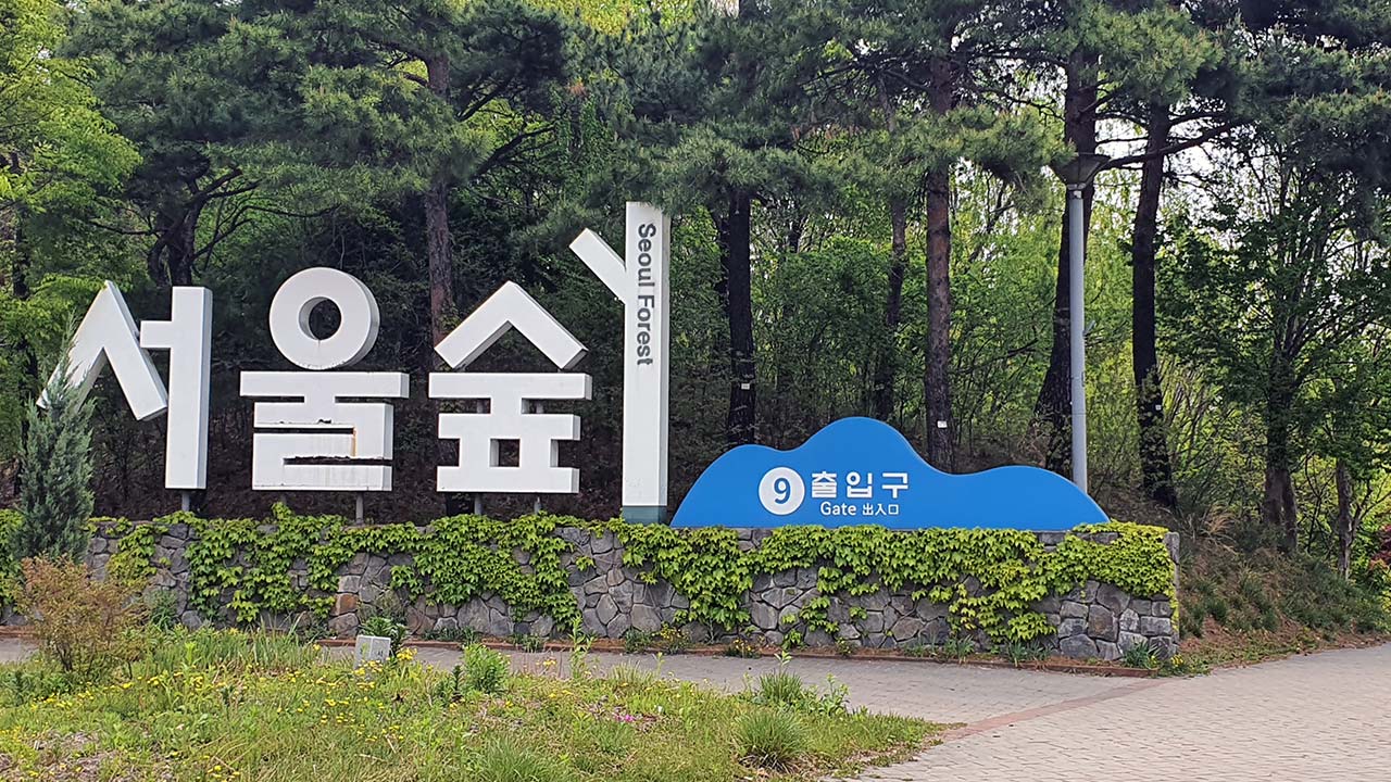 서울숲 산책로 불 지르고 달아난 외국인 관광객 2명 검거