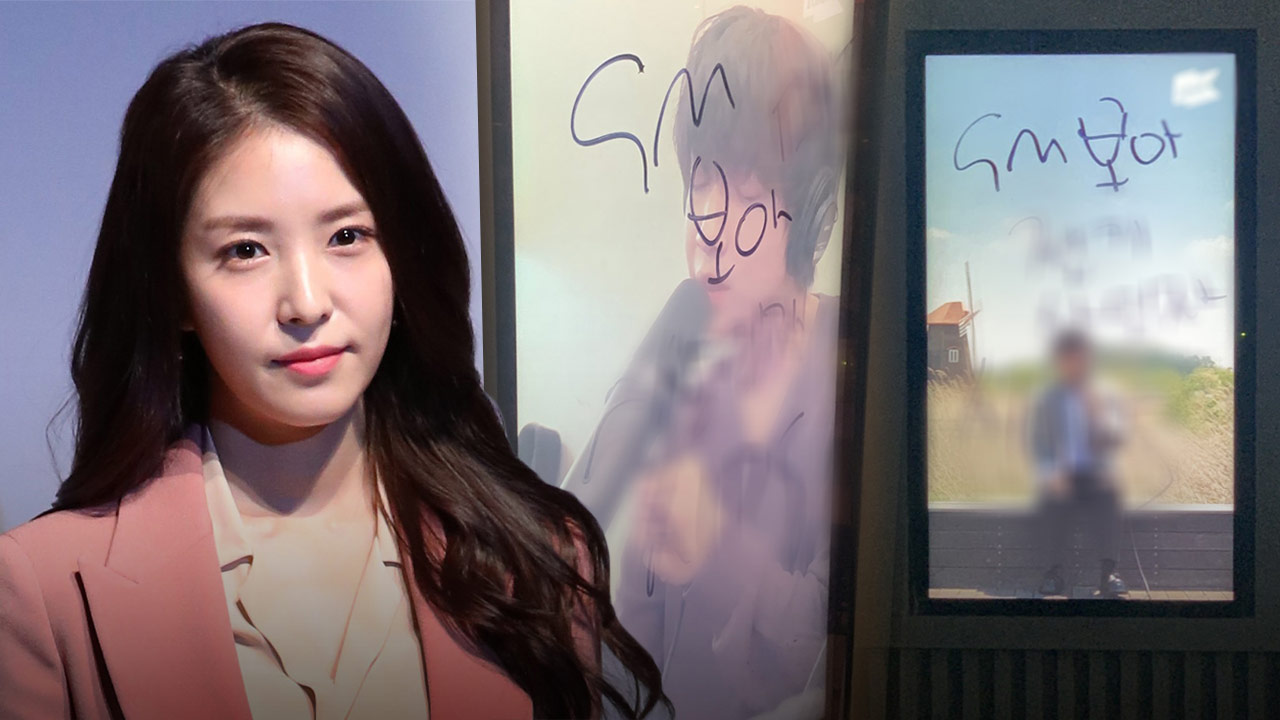 [단독] 경찰, 가수 보아 모욕 '낙서 테러' 용의자 검거