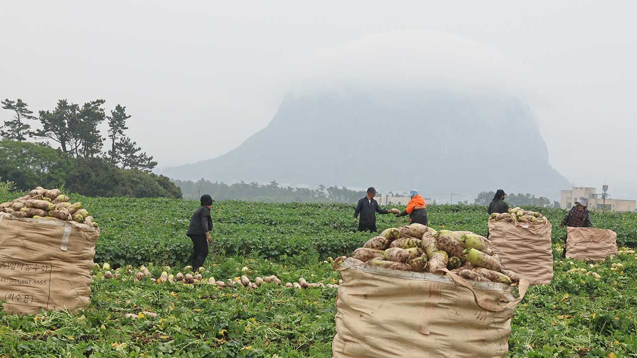 농식품부, 장마 대비 농업시설 현장점검