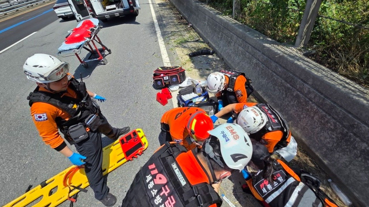 예초 작업하던 60대, '자동 주행 제어' 차량에 치여 숨져