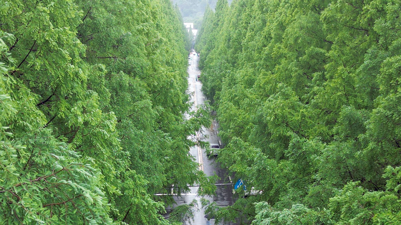 [날씨] 밤부터 중부 내륙 장맛비‥낮 최고 34도