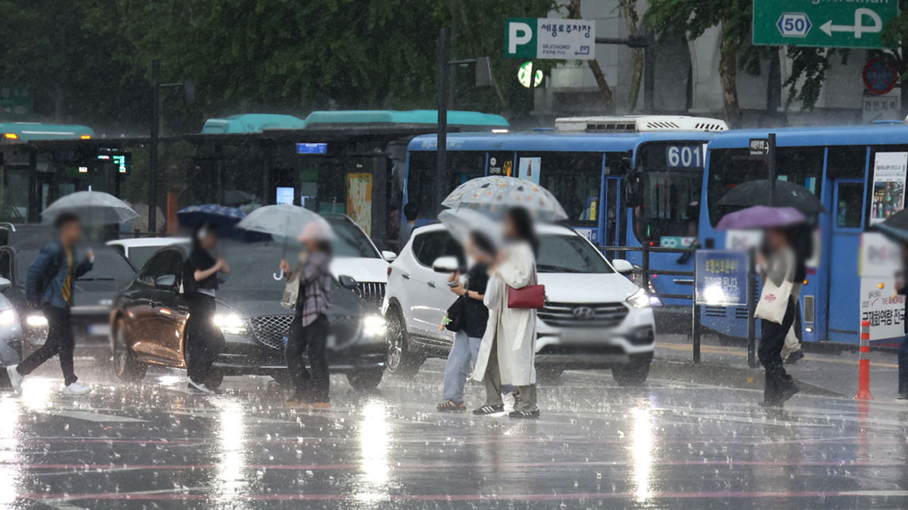 [날씨] 절기상 하지‥내일까지 남부지방 장맛비