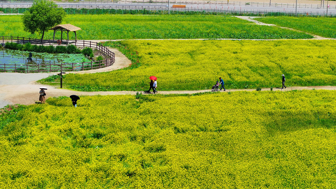 [날씨] 전국 대체로 맑음‥서울 낮 최고기온 32도 무더위