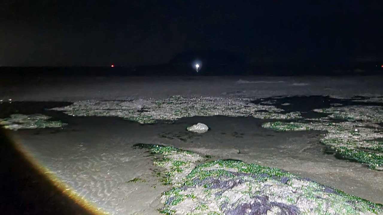 충남 보령서 해루질하다 고립된 40대 남성 구조