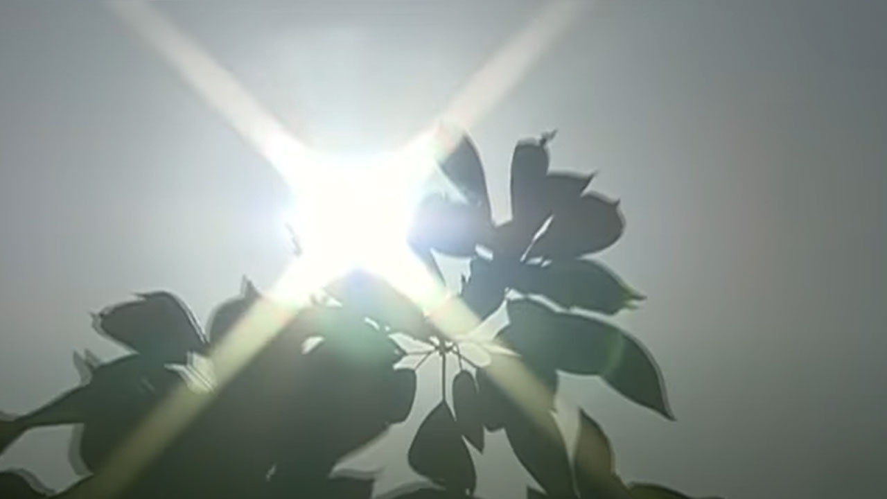 충남 홍성서 온열 질환으로 80대 여성 쓰러져‥"더위로 인한 의식 저하"