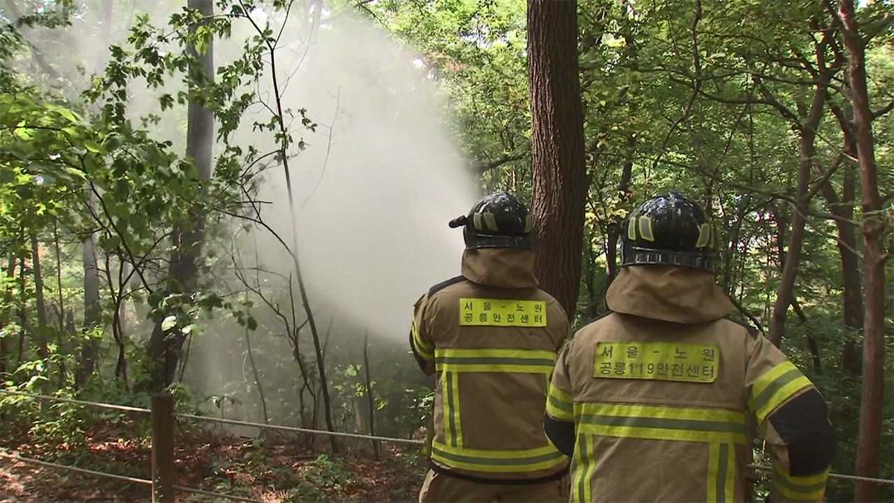 물에 약한 러브버그‥'친환경 방제', 퇴치 묘수될까?