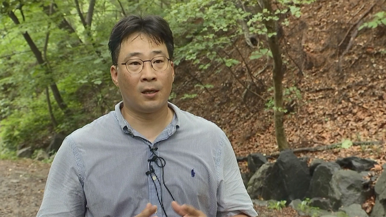 물에 약한 러브버그‥'친환경 방제', 퇴치 묘수될까?