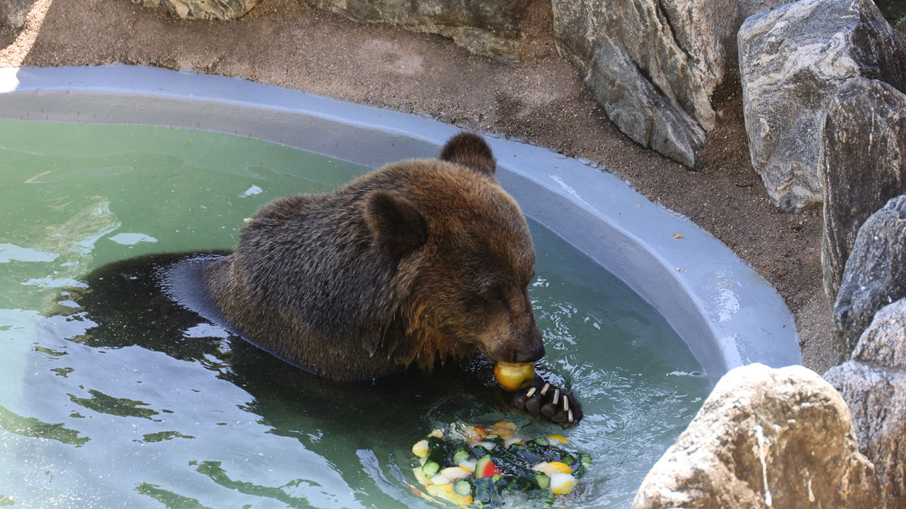 [날씨] 한낮 35도 '찜통더위'..제주·전라 소나기