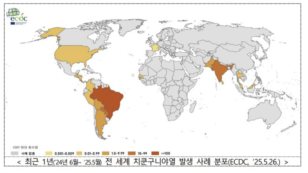 '모기 감염'치쿤구니야열 14개국서 22만 명‥해외여행 시 '주의'