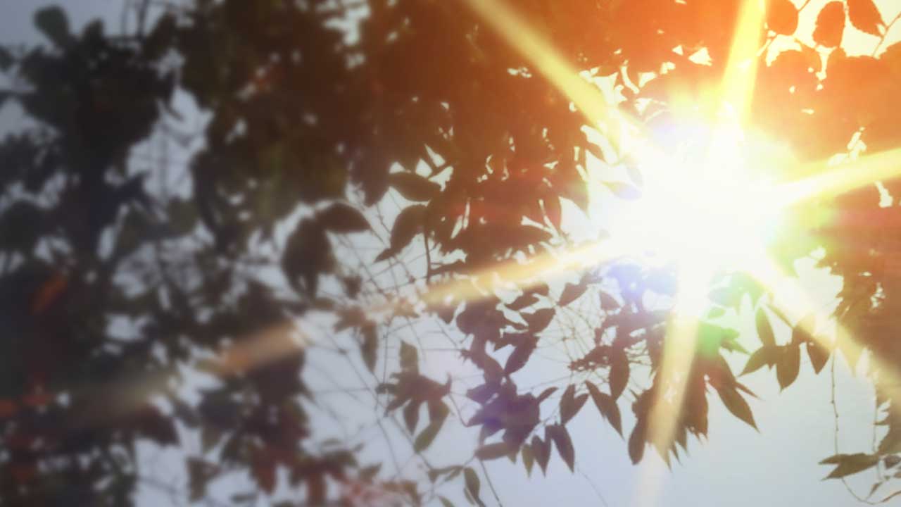 폭염 아니면 폭우‥1994년 이후 가장 더웠던 7월