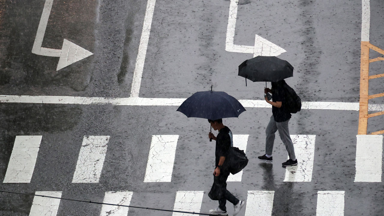 [날씨] 남부지방 많은 비‥시간당 최대 50mm 