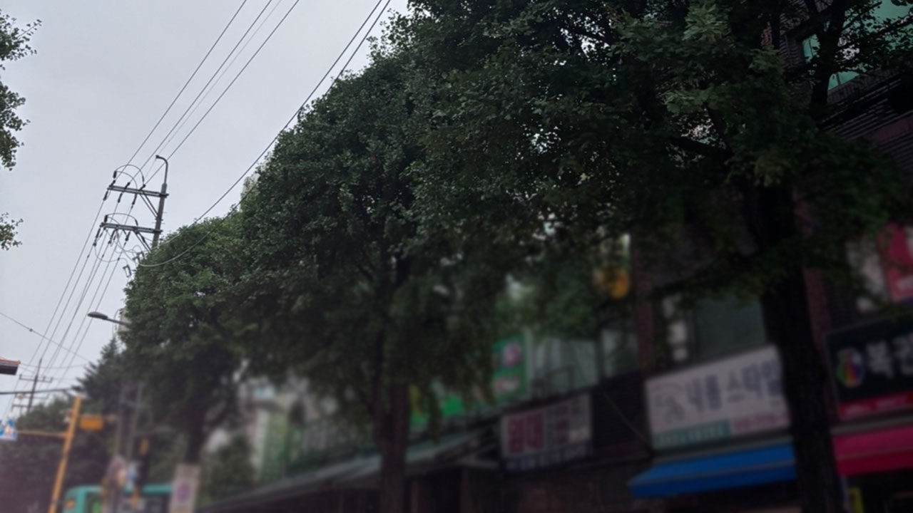 경기 부천 일대서 한때 2천 세대 정전‥낙뢰로 고압 전선 손상