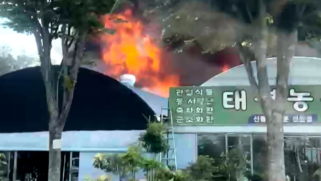 강남구 세곡동 화훼단지 화재‥대응 1단계 발령