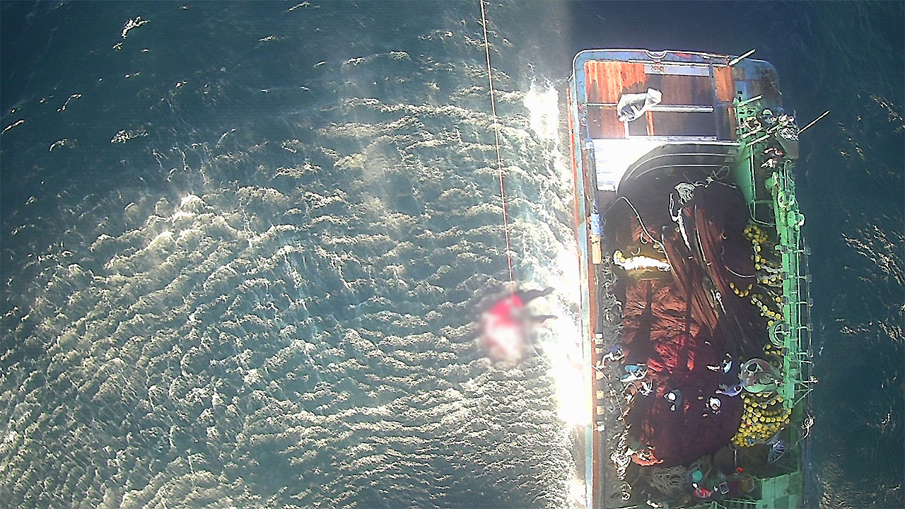 제주 해상 조업 중이던 60대 선원, 그물에 몸통 끼어 숨져