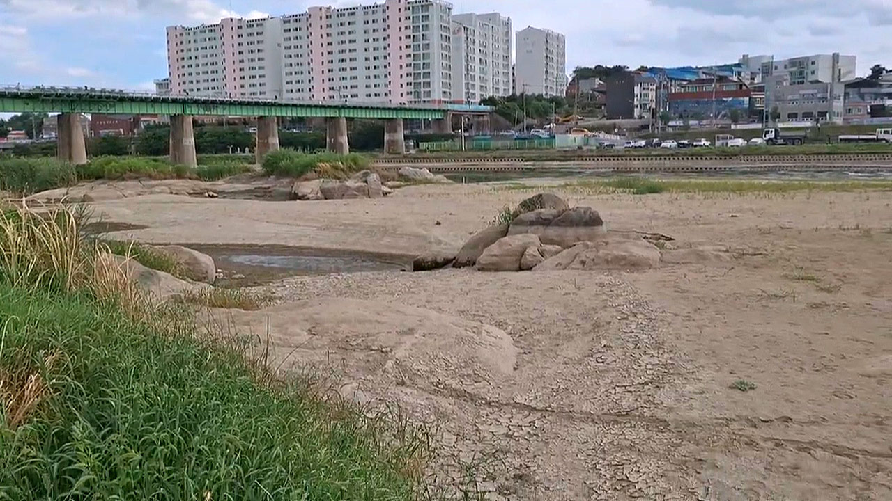 정부, '강릉 가뭄' 추가 수원 확보안 논의‥'현장지원반'도 운영