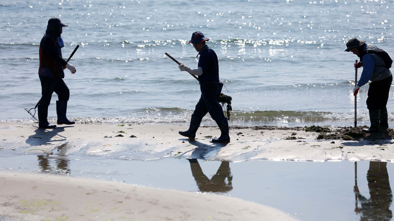 [날씨] 낮 최고 33도 무더위‥곳곳 비 또는 소나기