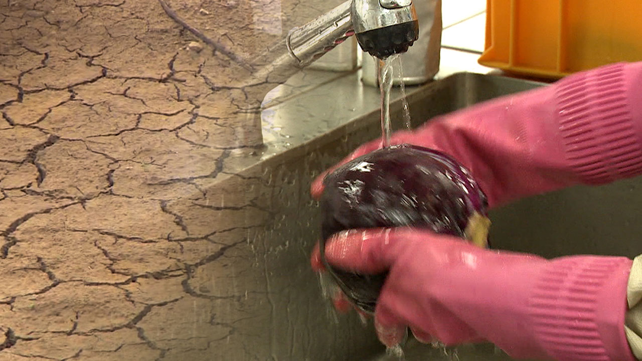 교육부, 가뭄 피해 강릉 학교에 급식비 지원·위생관리 강화