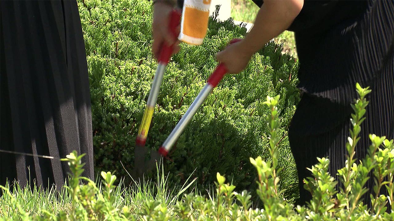 추석 벌초시 벌 쏘임·뱀 물림 주의‥소방청, 주의 당부