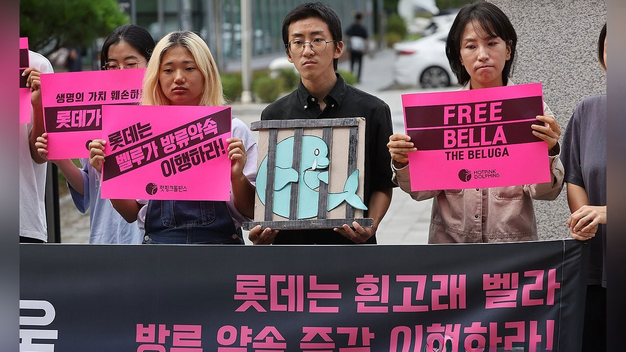 '시위 피해 7억' 롯데 주장에 환경단체 고소‥경찰, 수사 착수