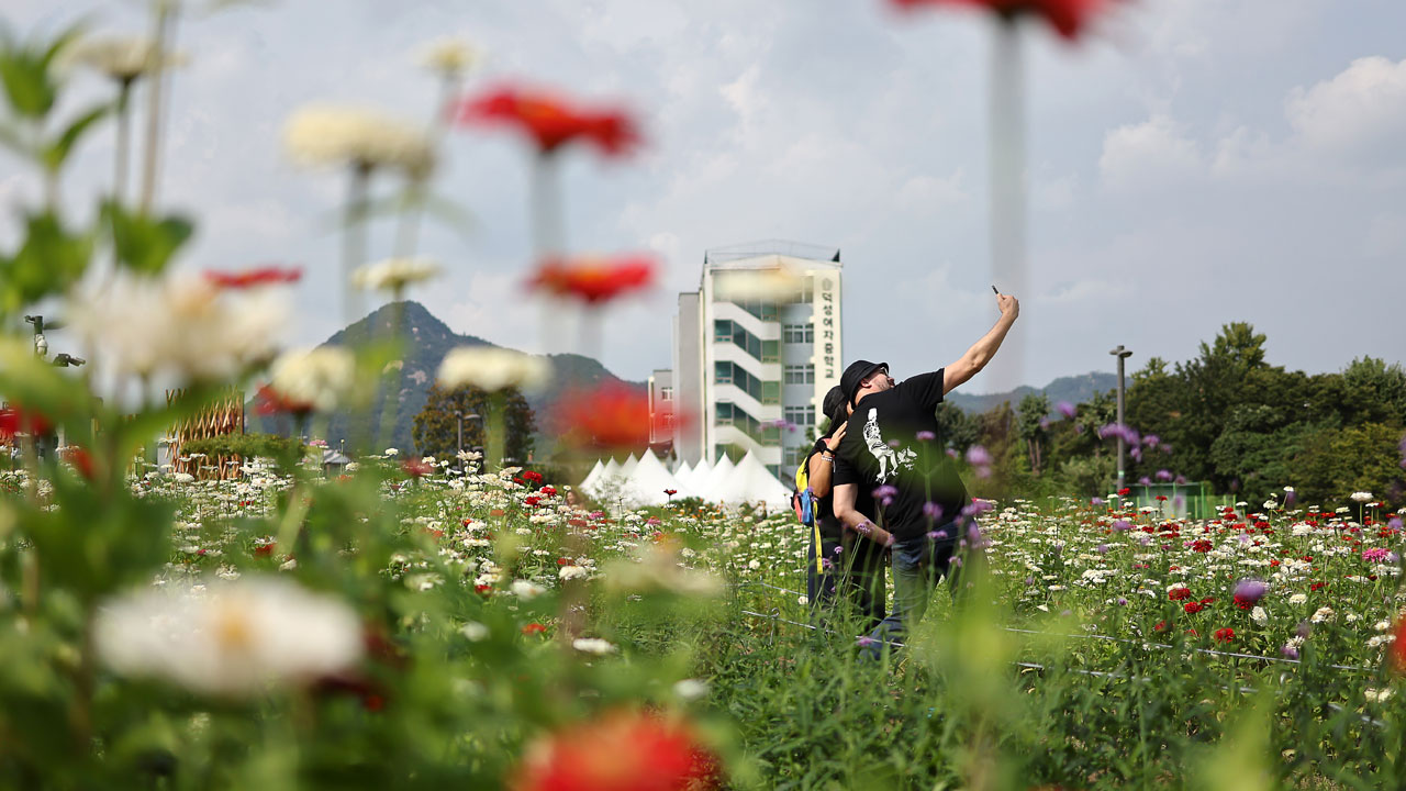 [날씨] 추석 연휴 둘째 날도 '흐림'‥오전에 가끔 비