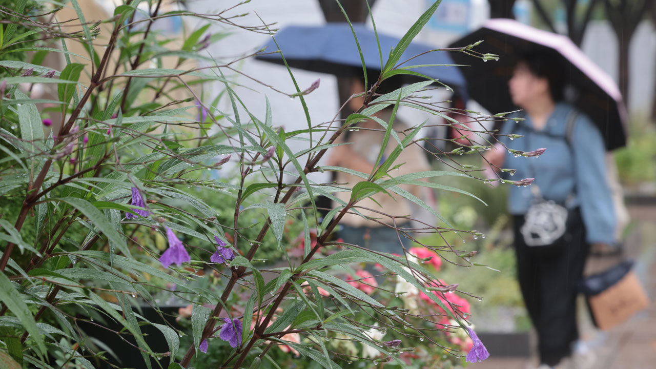 [날씨] 전국 대체로 흐리고 곳곳에 비