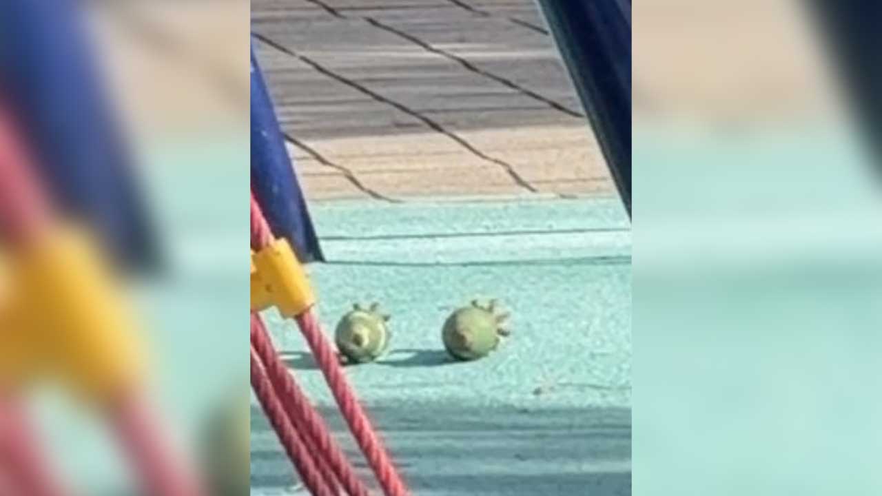 대전 놀이터에서 훈련용 박격포탄 2발 발견‥군 당국 수거