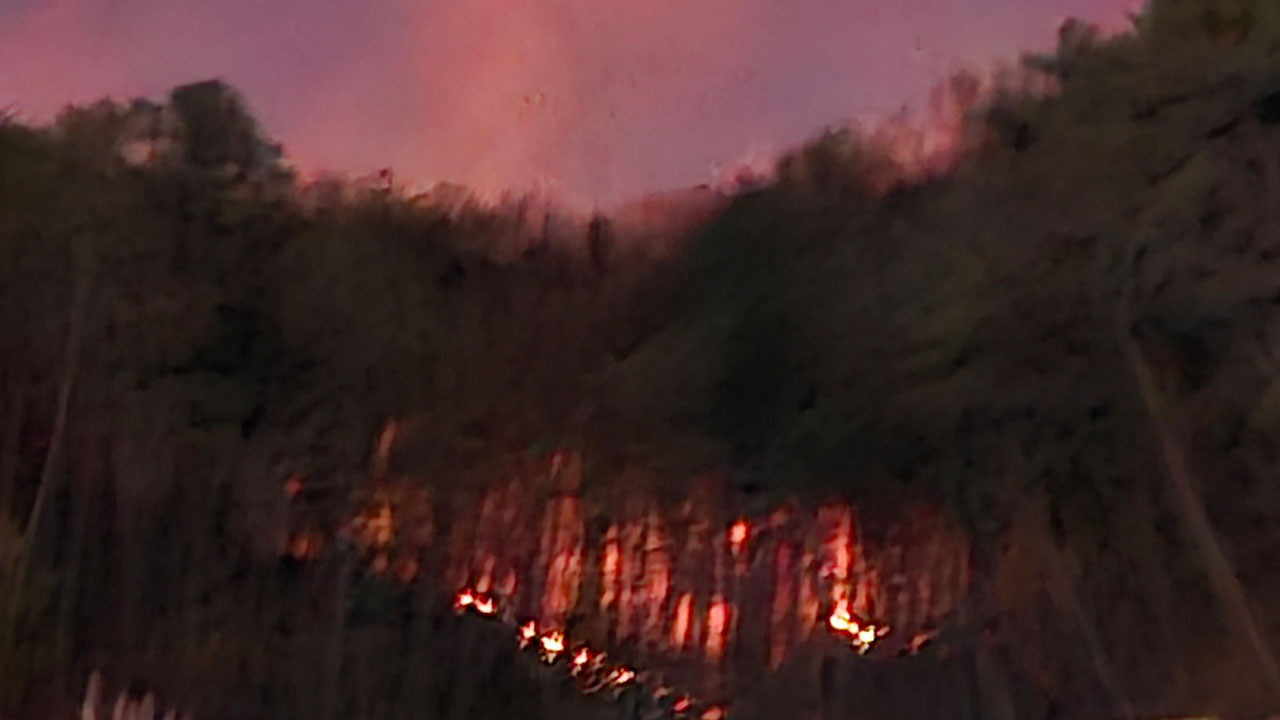 충남 천안 태조산에 불‥1시간 반 만에 큰불 잡혀