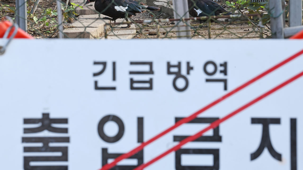 충북 영동서 H5형 조류인플루엔자 항원 확인‥일시 이동중지 명령