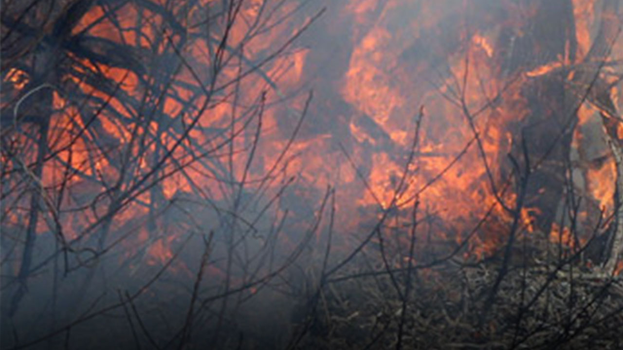 경기 연천 전곡읍 야산 불‥4시간 만에 꺼져