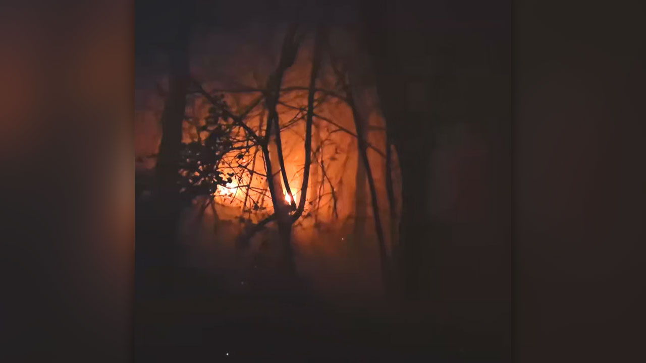 충남 태안서 야산서 불‥다친 사람 없어