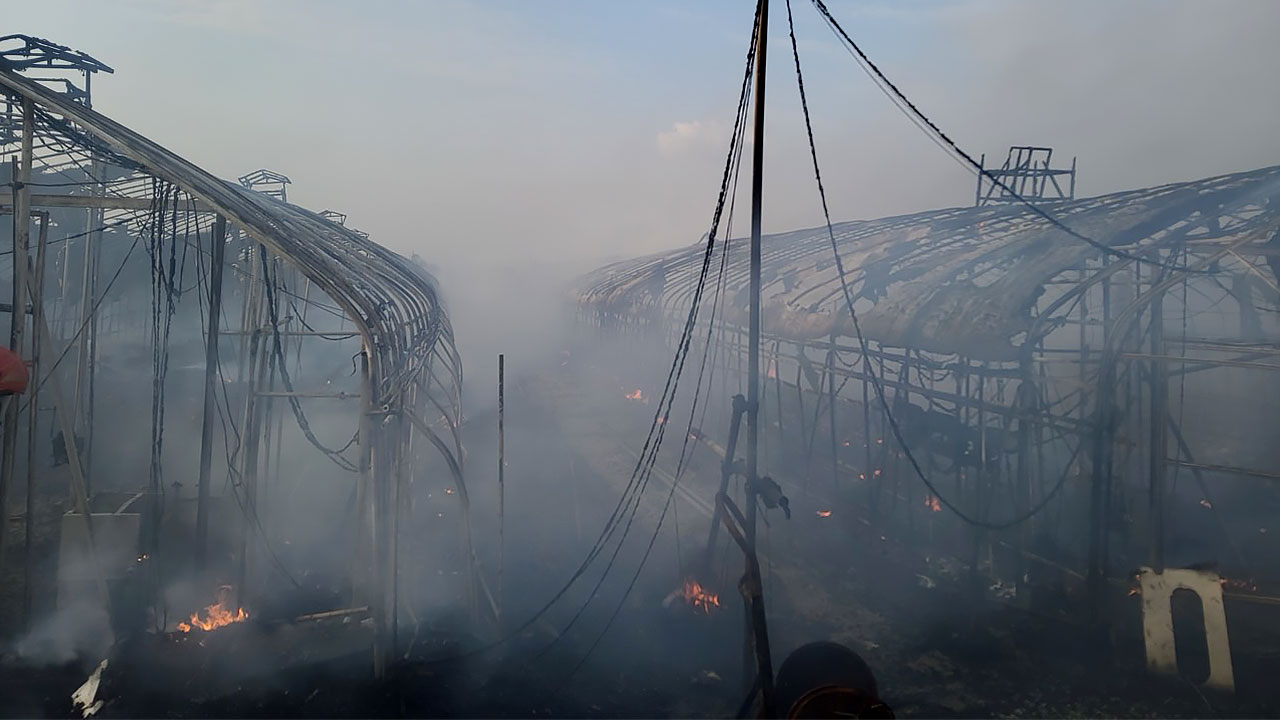 김포 양계장 화재‥닭 2만6천마리 폐사