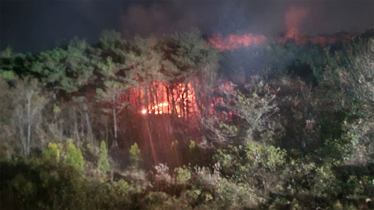 충남 태안에서 밤사이 산불 잇따라‥다친 사람 없어