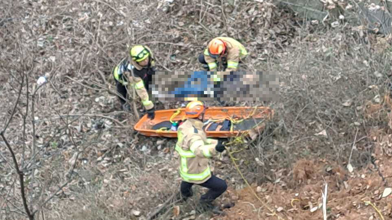 홍천 비발디파크 진입로서 SUV 추락‥70대 운전자 숨져