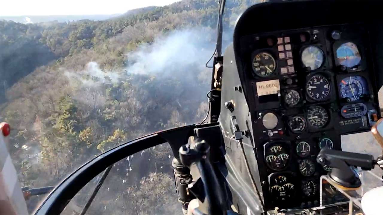 경기 평택 야산에서 불‥50분 만에 큰 불길 잡아