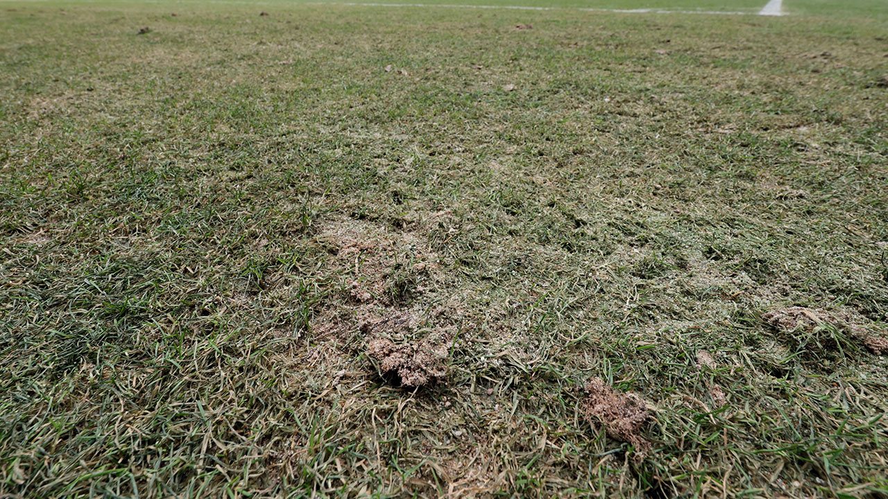 서울월드컵경기장, 잔디 긴급 복구‥오는 29일 전까지 정상화