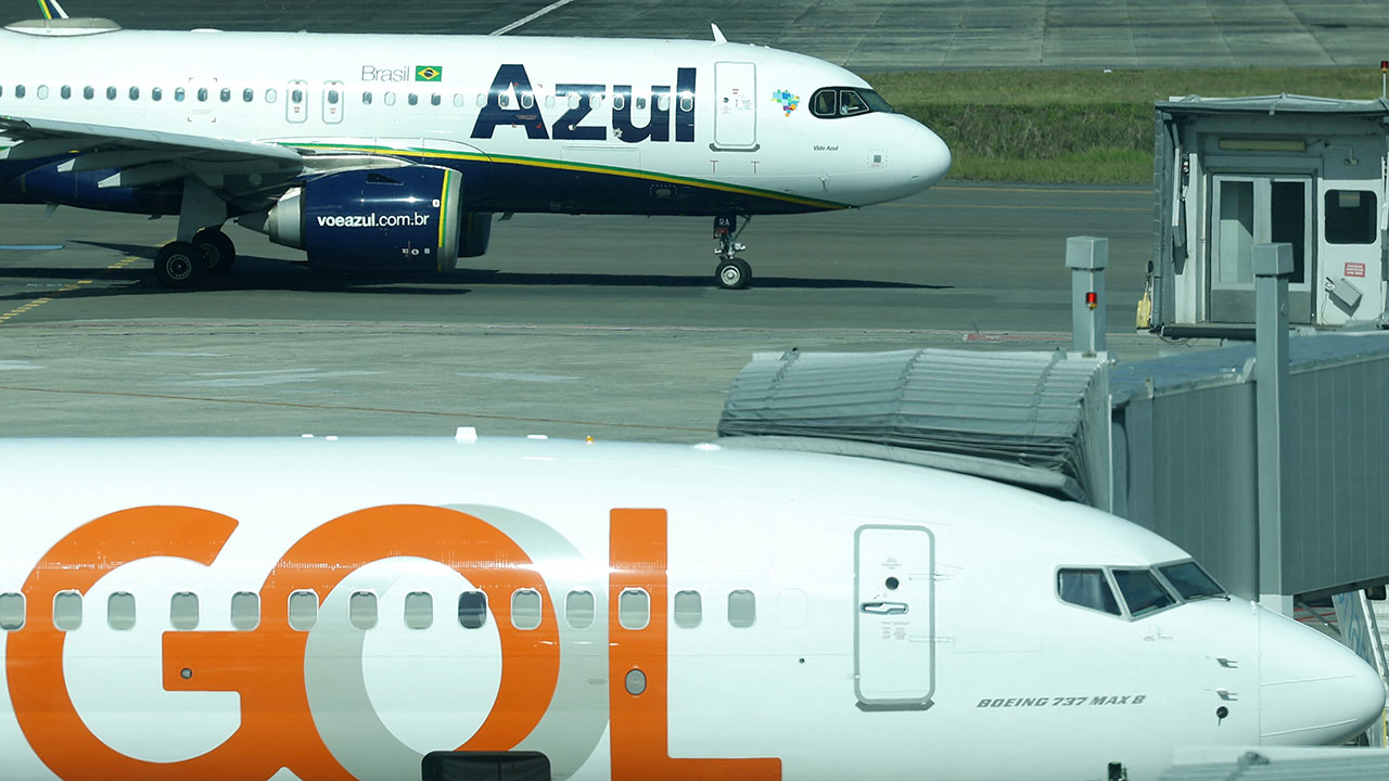 브라질서 여객기-새떼 충돌로 긴급회항 잇따라