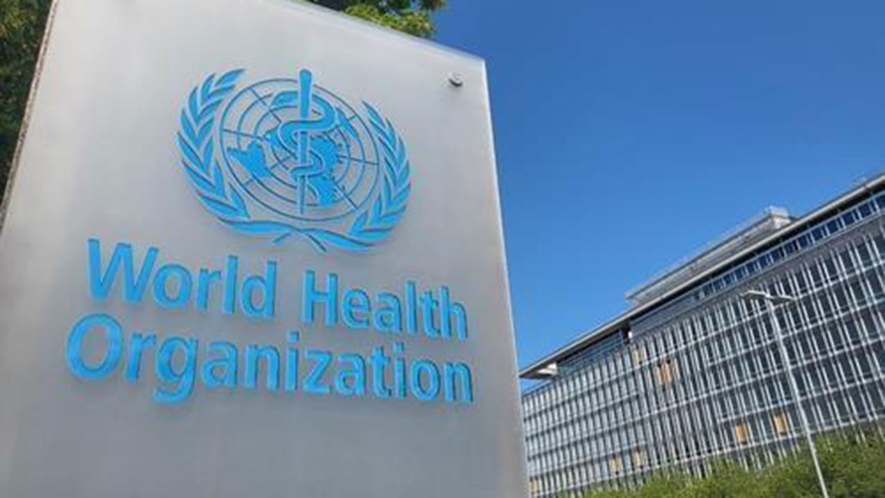 박쥐 먹은 뒤 코피 50여명 사망‥민주콩고, 괴질 확산