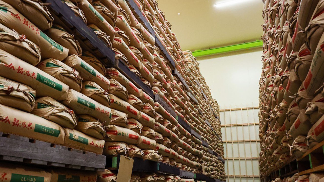 일 언론 "이르면 다음 주 비관세장벽 개선안 제시‥쌀 포함 가능성"