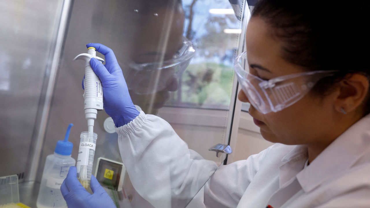  브라질서 첫 조류인플루엔자.."한국 60일 수출 중단"