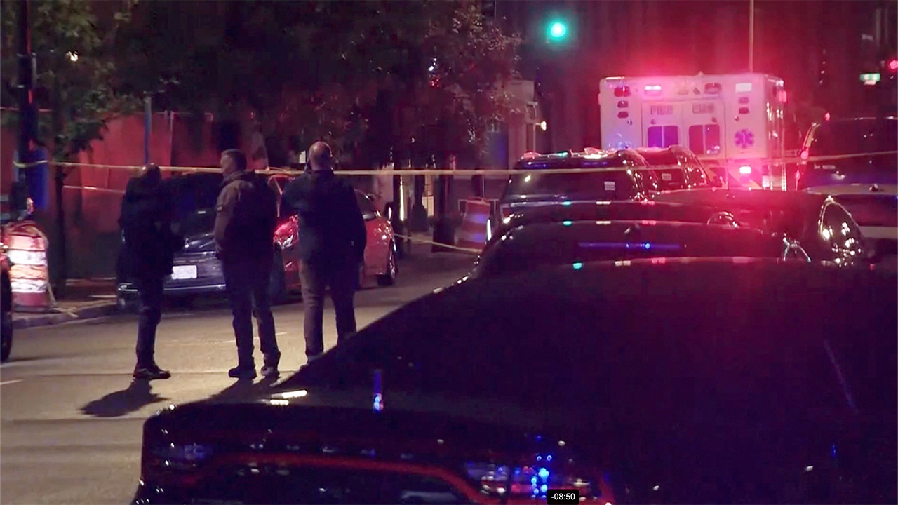 워싱턴 이스라엘대사관 직원 총격범, 반전·극좌단체 활동 이력