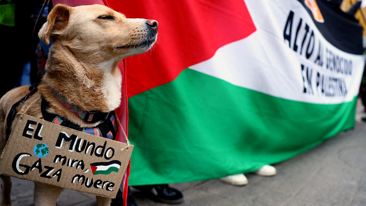 '헤이그 그룹' 12개국 "이스라엘에 군수품 제공 금지 조치"