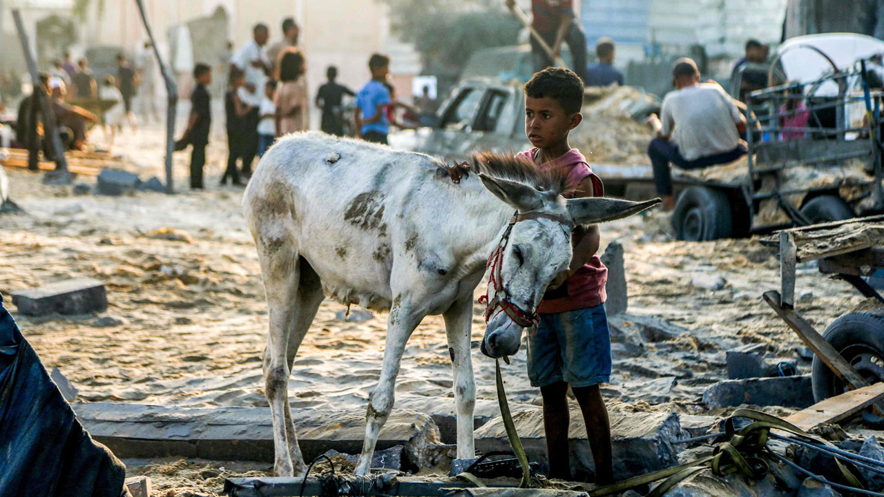 "이스라엘, 5개국과 가자 주민 이주 논의‥인니 등과 진전"