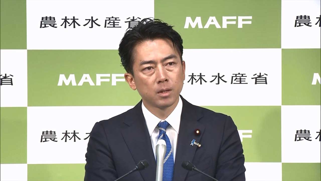 '차기 총리 거론' 고이즈미 농림상, 오늘 오전 야스쿠니신사 참배