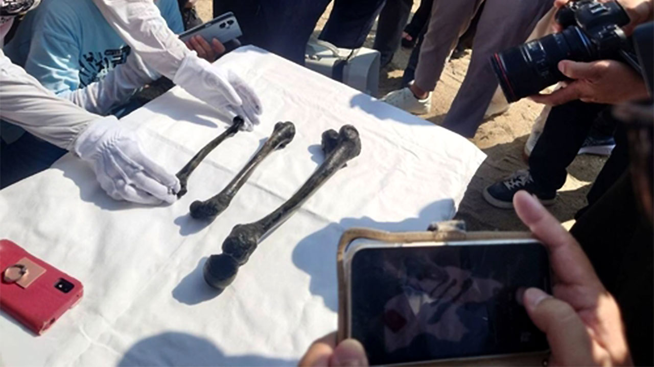 조선인 136명 수몰 일 해저탄광서 희생자 인골 추정 뼈 발견