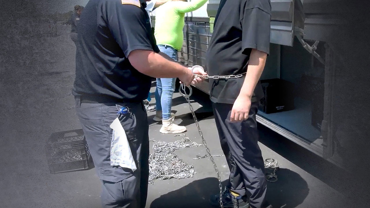 "놀라서 입덧도 멈춰‥서로 의지하며 버텼죠" 구금 임신부 인터뷰 [World Now]