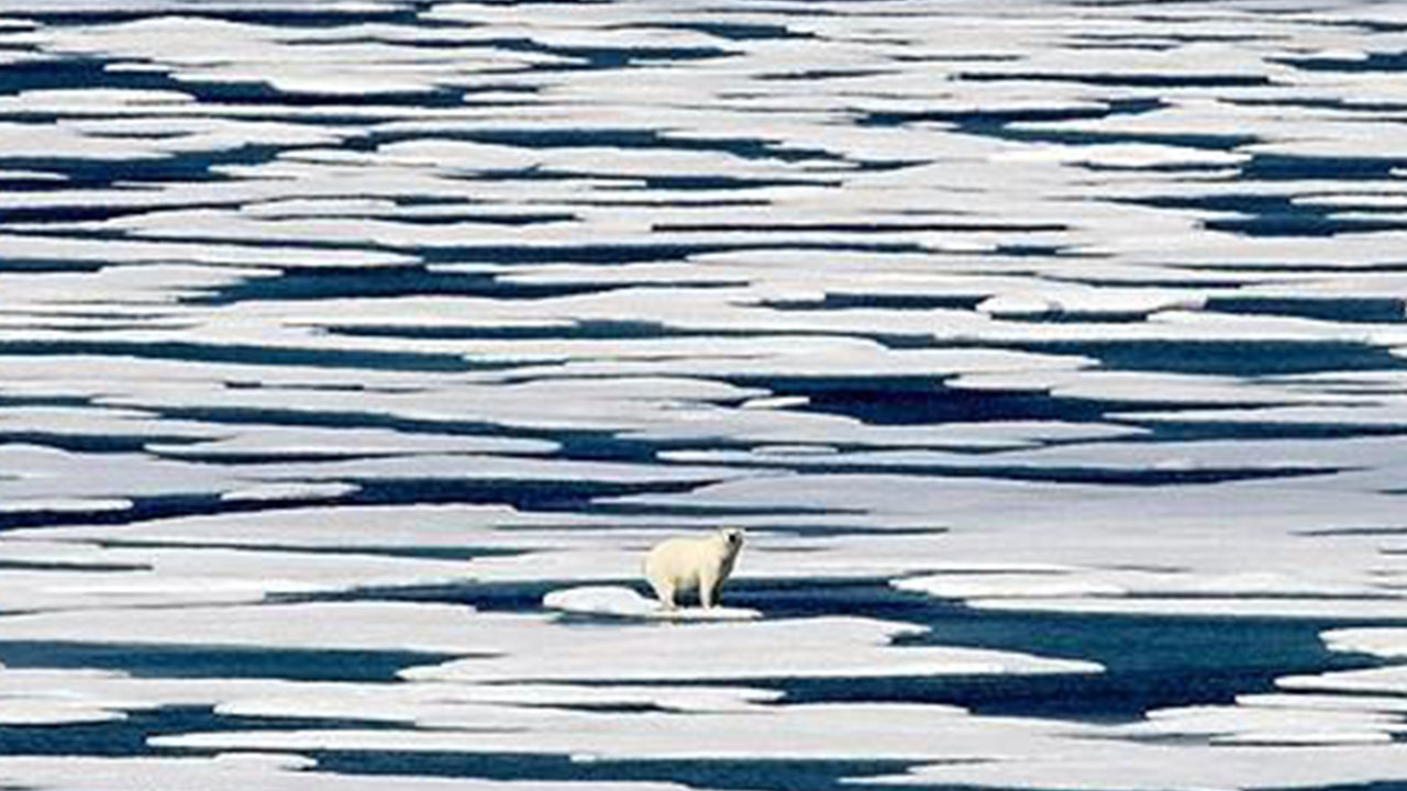 "북극 기온 관측 사상 최고‥상승률 지구 평균의 두 배 넘어"